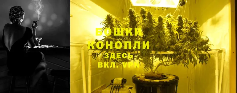 мориарти какой сайт  Гатчина  Конопля Ganja  даркнет сайт 